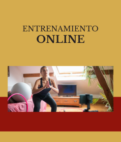 Asesoría online  (246 x 288 px)-1