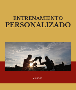 Entrenamiento personalizado (adultos) (246 x 288 px)